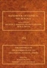 Cerebellum: From Embryology to Diagnostic Investigations