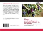 Brigi Pinzón Herrera, Brigitte del Rosario Pinzón Herrera, Hernando Darí Suárez Gómez, Hernando Darío Suárez Gómez - Hongos entomopatogenos asociados al ácaro de las agallas