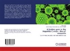 Noh Farag, Noha Farag, Hans Breitinger Ulrike Breitinger, Hans Breitinger Moh Ulrike Breitinger - A hidden gem in the Hepatitis C virus - the p7 viroporin