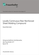 David Bücheler, Pfinztal Fraunhofer ICT - Locally Continuous-fiber Reinforced Sheet Molding Compound.