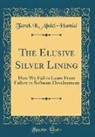 Tarek K. Abdel-Hamid - The Elusive Silver Lining