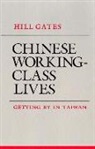 Hill Gates - Chinese Working-Class Lives