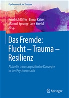 Elma Kaiser, Elmar Kaiser, Friedrich Riffer, Manuel Sprung, Manuel Sprung u a, Lore Streibl - Das Fremde: Flucht - Trauma - Resilienz