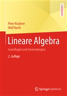 Wolf Barth, Pete Knabner, Peter Knabner - Lineare Algebra