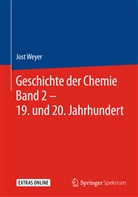 Jost Weyer - Geschichte der Chemie. Bd.2