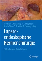 Reinhard Bittner, Pradeep Chowbey, Robert J. Fitzgibbons, Robert J Fitzgibbons u a, Ferdinan Köckerling, Ferdinand Köckerling... - Laparo-endoskopische Hernienchirurgie