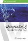 Maria Wirth - Anthropogenic Drivers of Municipal Water Supply: