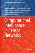 Himansu Das, Satchidanan Dehuri, Satchidanand Dehuri, Bijaya Ketan Panigrahi et al, Bhabani Shankar Prasad Mishra, Bijan Bihari Mishra... - Computational Intelligence in Sensor Networks