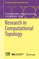 Erin Chambers, Erin Wolf Chambers, Brittany Terese Fasy, Brittan Terese Fasy, Brittany Terese Fasy, Lori Ziegelmeier - Research in Computational Topology
