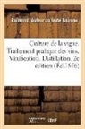 Raimond Boireau, Boireau-R - Culture de la vigne. traitement