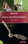 Matthia Schaefer, Matthias Schaefer - Brohmer - Fauna von Deutschland