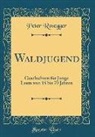 Peter Rosegger - Waldjugend