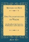 Hermann von Fürst - Die Pflanzenzucht im Walde