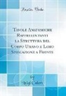 Luigi Calori - Tavole Anatomiche Rappresentanti la Struttura del Corpo Umano e Loro Spiegazione a Fronte (Classic Reprint)