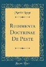 Martin Lange - Rudimenta Doctrinae De Peste (Classic Reprint)