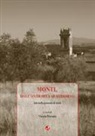 N. Bernini - Monti, dall'antichità al medioevo. Atti della giornata di studi