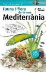 Enric Ballesteros i Sagarra, Toni Llobet - Flora i fauna de la mar Mediterrània