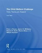 Richard Barth, Richard P Barth, Richard P. Barth, Barth Richard P., Sharon Borja, ANTHONY N MALUCCIO... - Child Welfare Challenge
