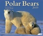 Norbert Rosing - Polar Bears 2019