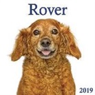 Firefly Books, Firefly Books (COR), Andrew Grant - Rover 2019