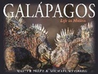 Walter Perez, Walter/ Weisberg Perez, Michael Weisberg, Weisberg Michael - Galapagos