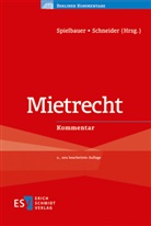 Juli Ettl, Julia Ettl, Christoph Kern, Christoph (Dr. Kern, Christoph (Dr.) Kern, Vladim Klokocka... - Mietrecht