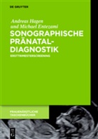 Michael Entezami, Andrea Hagen, Andreas Hagen - Sonographische Pränataldiagnostik