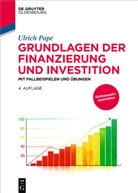 Ulrich Pape - Grundlagen der Finanzierung und Investition