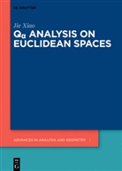 Jie Xiao - Q  Analysis on Euclidean Spaces