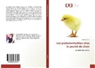 Malika Zaouia - Les pododermatites chez le poulet de chair
