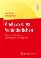 Uw Storch, Uwe Storch, Hartmut Wiebe - Analysis einer Veränderlichen