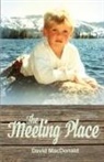 David Macdonald - The Meeting Place