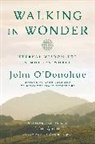 John O'Donohue, John Quinn, Krista Tippett - Walking in Wonder