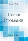 Ludwig Brieger - Ueber Ptomaine (Classic Reprint)