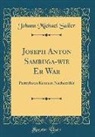 Johann Michael Sailer - Joseph Anton Sambuga-wie Er War