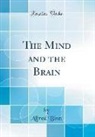 Alfred Binet - The Mind and the Brain (Classic Reprint)