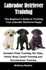 Brittany Boykin - Labrador Retriever Training