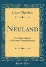 Cäsar Flaischlen - Neuland