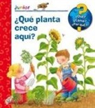 Constanza Droop - ¿Qué planta crece aquí?