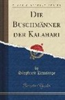 Siegfried Passarge - Die Buschmänner der Kalahari (Classic Reprint)