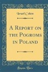 Israel Cohen - A Report on the Pogroms in Poland (Classic Reprint)