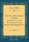 Josef Müller - Die Keuschheitsideen in Ihrer Geschichtlichen Entwicklung und Praktischen Bedeutung (Classic Reprint)