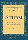 John Henry Mackay - Sturm