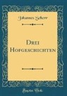 Johannes Scherr - Drei Hofgeschichten (Classic Reprint)