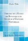 René Louiche Desfontaines - Tableau de l'École de Botanique du Muséum d'Histoire Naturelle (Classic Reprint)