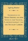Ludwig Häcker - Amerikanische Reise-Skizzen aus dem Gebiete der Technik, Landwirthschaft und des Socialen Lebens (Classic Reprint)