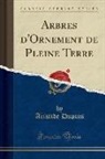 Aristide Dupuis - Arbres d'Ornement de Pleine Terre (Classic Reprint)