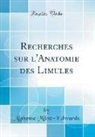 Alphonse Milne-Edwards - Recherches Sur L'Anatomie Des Limules (Classic Reprint)