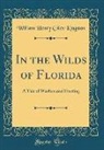 William Henry Giles Kingston - In the Wilds of Florida