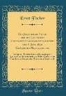 Ernst Fischer - Die Juristische Natur der auf Grund des Unterstützungswohnsitzgesetzes vom 6. Juni 1870 Gewährten Hilfeleistung